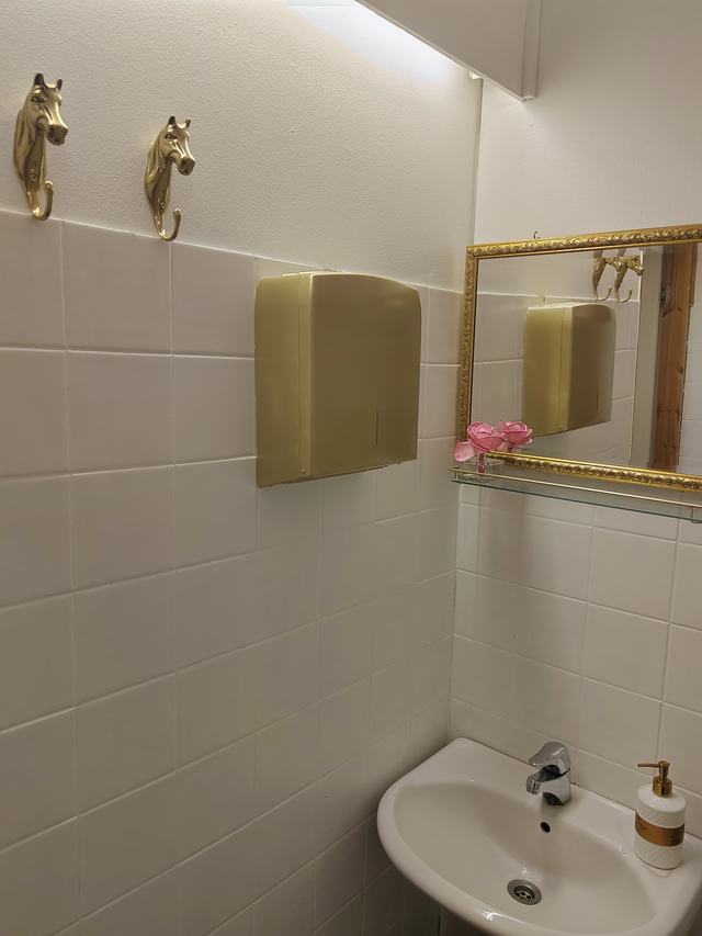 Kultakehyksinen peili wc-tilan seinällä